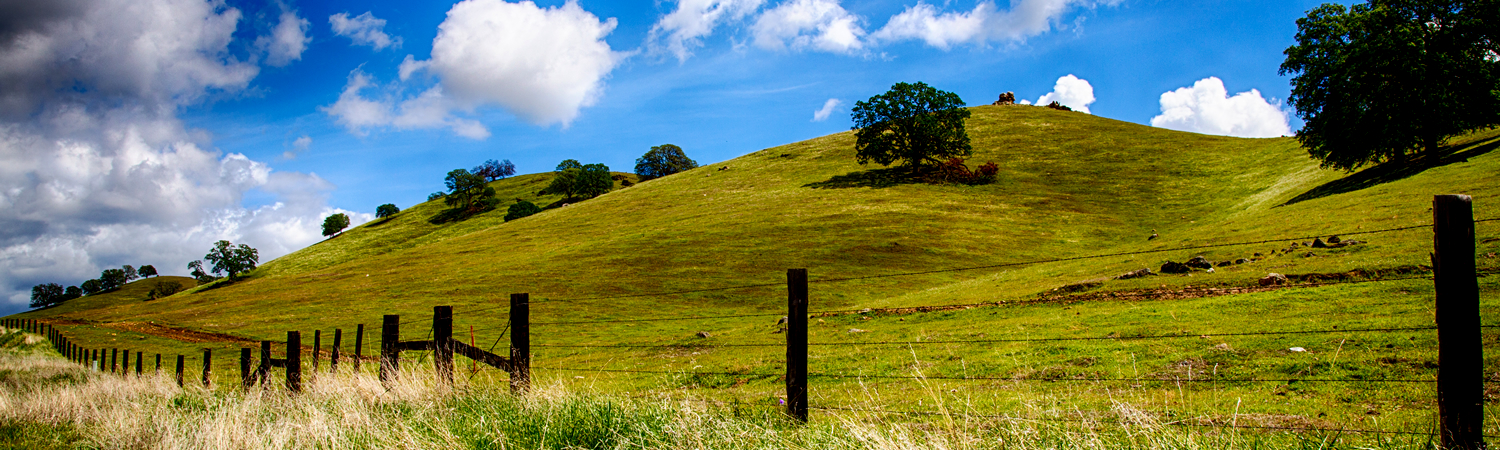 Banner image of Main Office